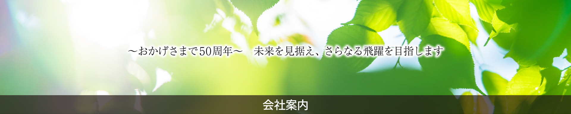 岡山　印刷・企画　岡山ニッポー印刷の会社情報トップ